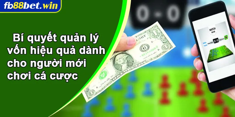 Bí quyết quản lý vốn hiệu quả dành cho người mới chơi cá cược