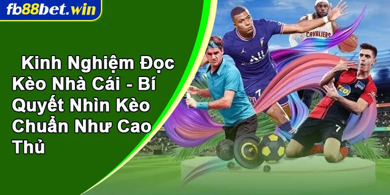 kinh nghiệm đọc kèo nhà cái